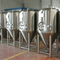 500L commercial clé en main en acier Chine production de la bière à vendre