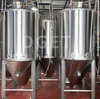 Fermenteur de brasserie de cuve de fermentation de bière en acier inoxydable 1000L à vendre
