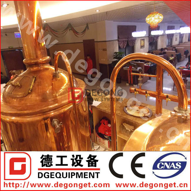 500L personnalisable Clé en main de haute qualité production de la bière à vendre
