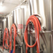 Équipement de brassage de bière automatisé personnalisé commercial 500L à vendre