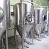 5BBL Usine de fabrication de bière complète Microbrasserie en acier inoxydable Cuves de fermentation de bière
